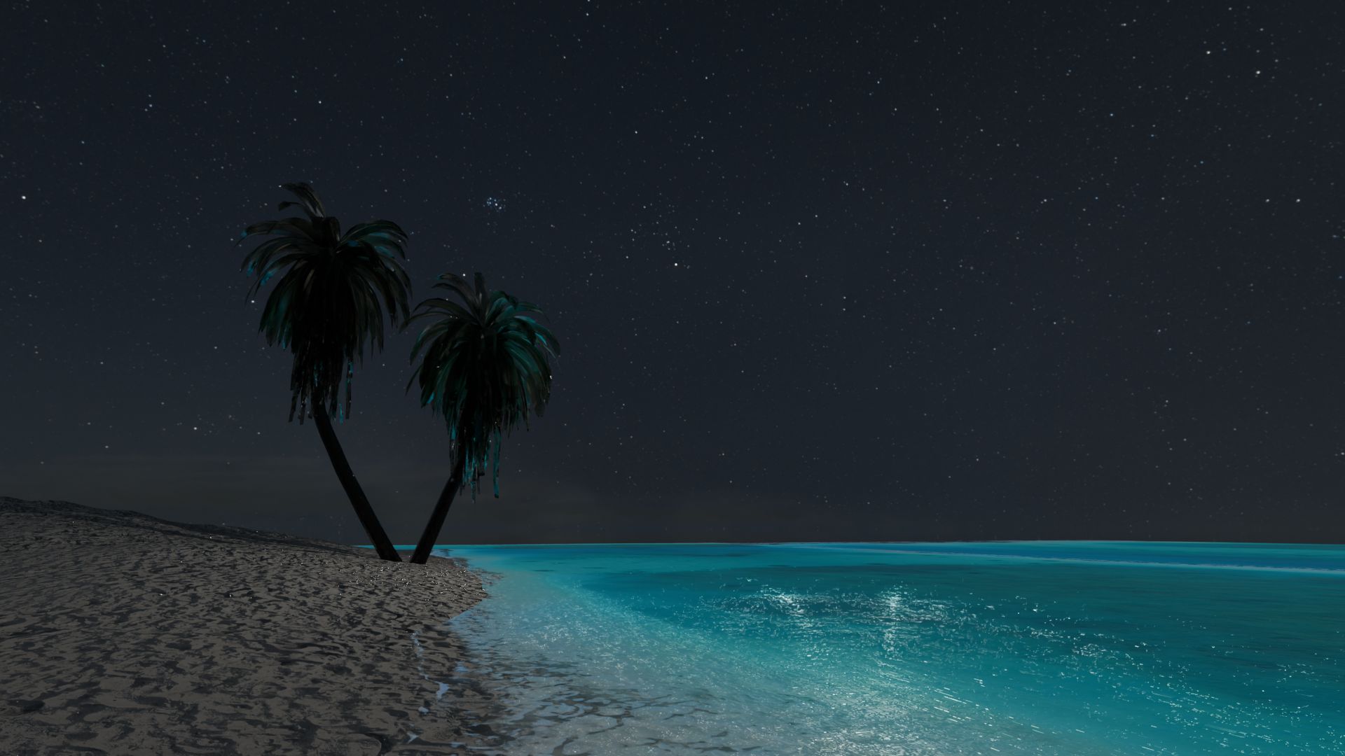 Palm trees on a beach at night